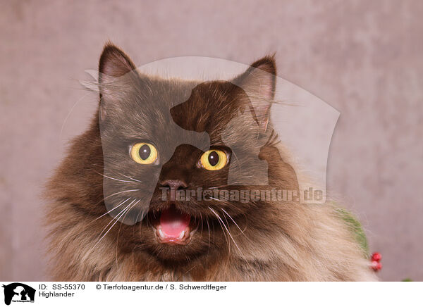 Highlander / Highlander / SS-55370