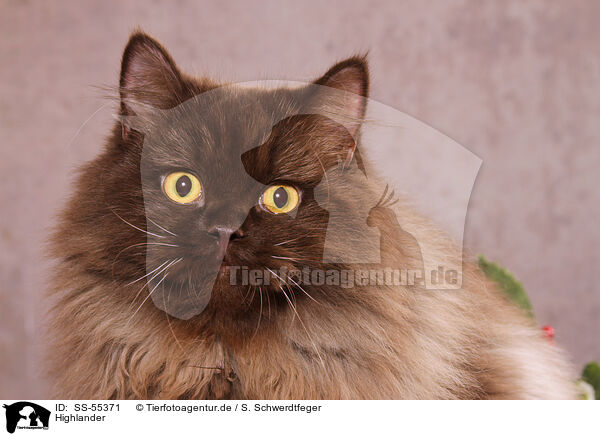 Highlander / Highlander / SS-55371