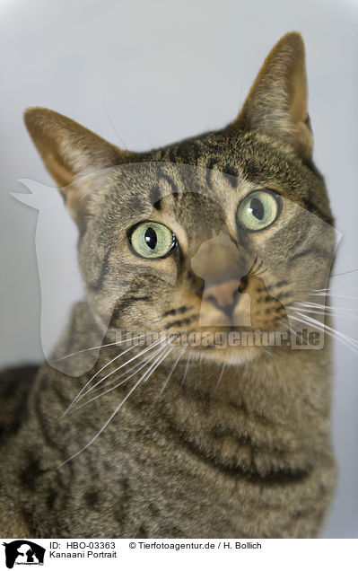 Kanaani Portrait / HBO-03363