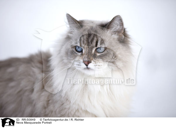Neva Masquarade Portrait / RR-50849