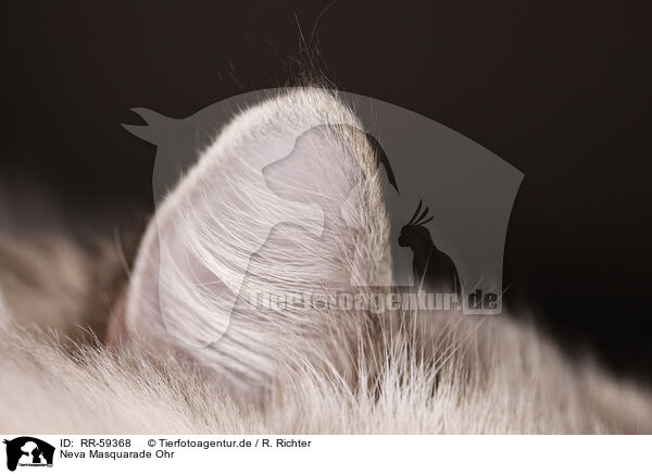 Neva Masquarade Ohr / RR-59368