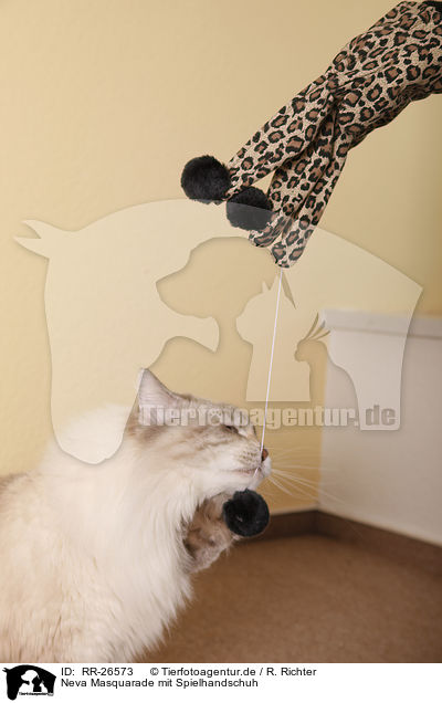 Neva Masquarade mit Spielhandschuh / playing Neva Masquarade / RR-26573