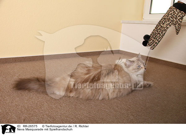 Neva Masquarade mit Spielhandschuh / RR-26575