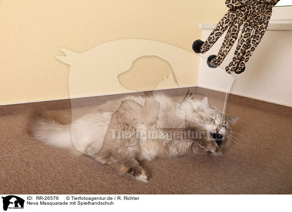 Neva Masquarade mit Spielhandschuh / RR-26576