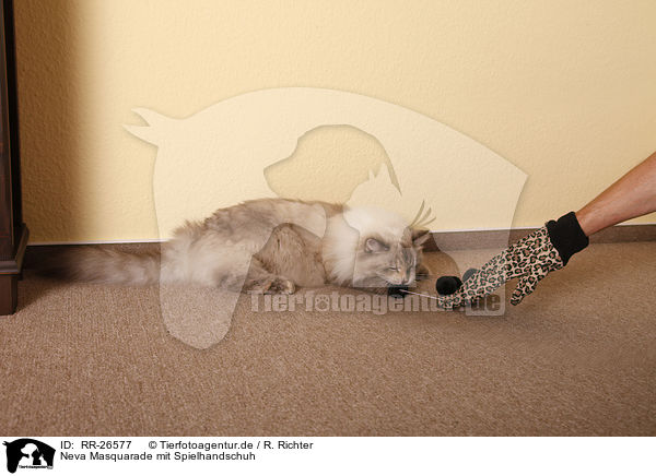 Neva Masquarade mit Spielhandschuh / RR-26577