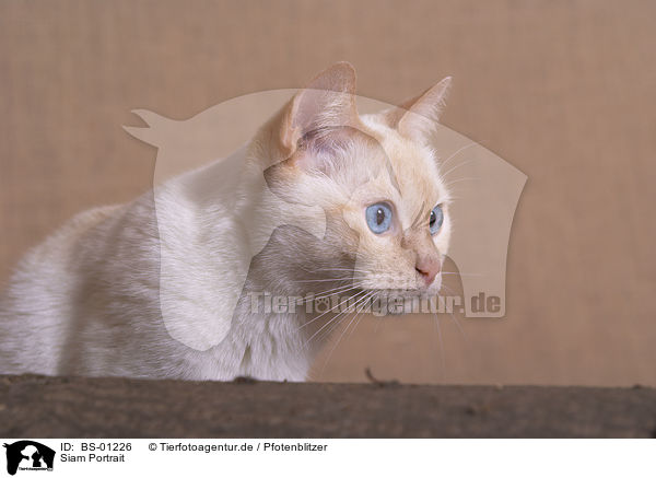 Siam Portrait / BS-01226