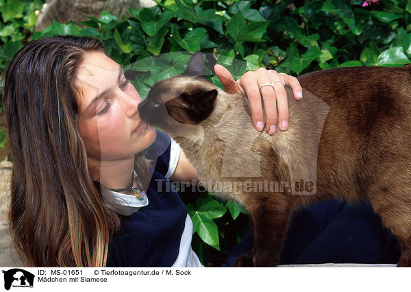 Mdchen mit Siamese / girl with siam cat / MS-01651