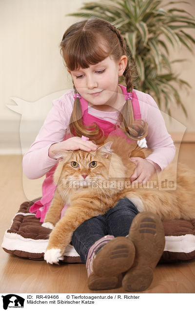 Mdchen mit Sibirischer Katze / girl with siberian cat / RR-49466