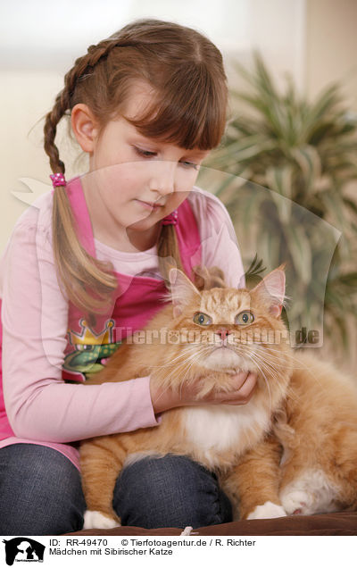 Mdchen mit Sibirischer Katze / girl with siberian cat / RR-49470