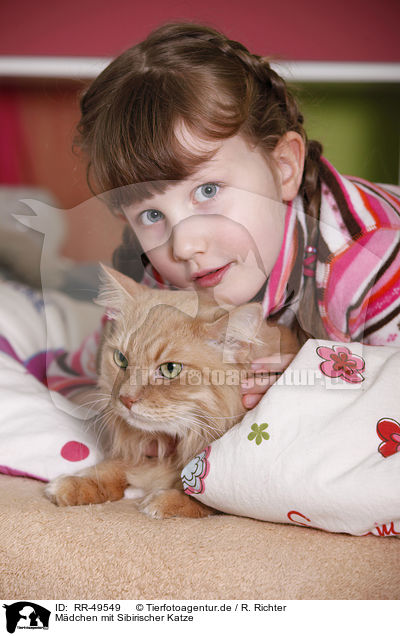 Mdchen mit Sibirischer Katze / girl with siberian cat / RR-49549
