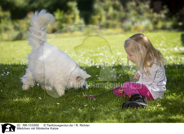 Mdchen mit Sibirische Katze / girl with Siberian Cat / RR-103569