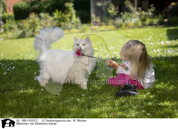 Mdchen mit Sibirische Katze / RR-103572