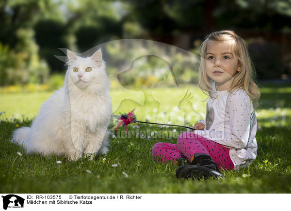Mdchen mit Sibirische Katze / girl with Siberian Cat / RR-103575