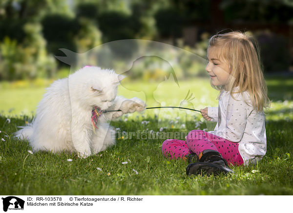 Mdchen mit Sibirische Katze / girl with Siberian Cat / RR-103578