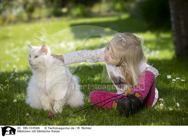 Mdchen mit Sibirische Katze / RR-103586