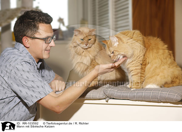 Mann mit Sibirische Katzen / man with Siberian Cats / RR-103592