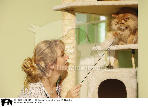 Frau mit Sibirische Katze / RR-103601