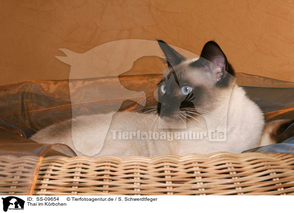 Thai im Krbchen / SS-09654