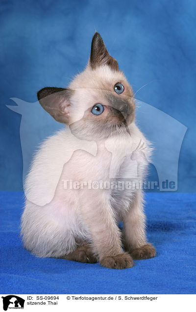 sitzende Thai / SS-09694