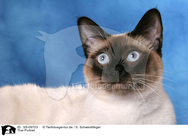 Thai Portrait / Thai Portrait / SS-09703