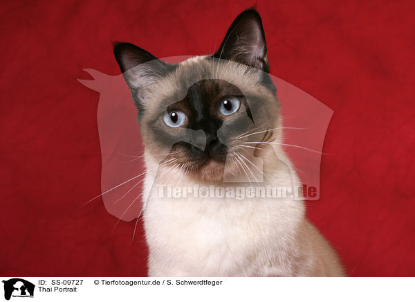 Thai Portrait / SS-09727