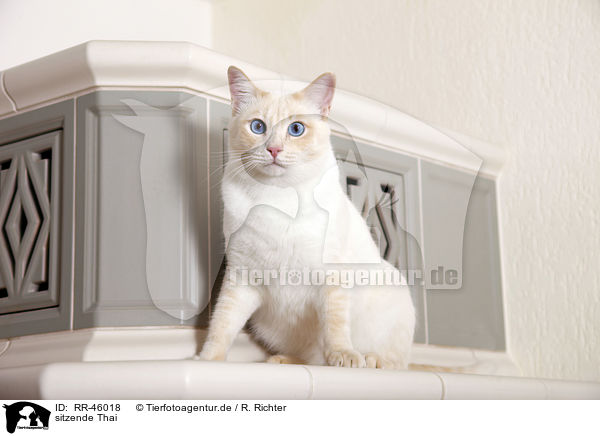 sitzende Thai / RR-46018