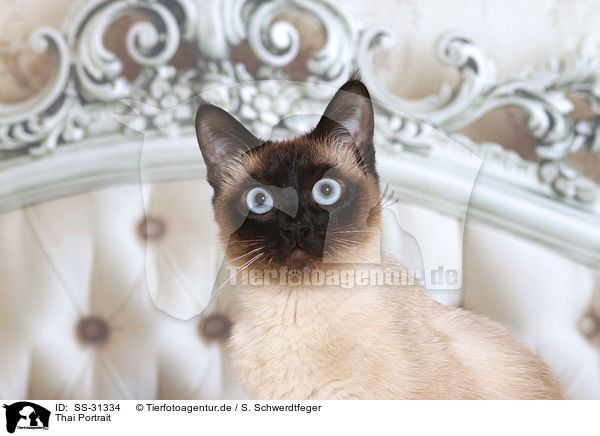 Thai Portrait / Thai Portrait / SS-31334