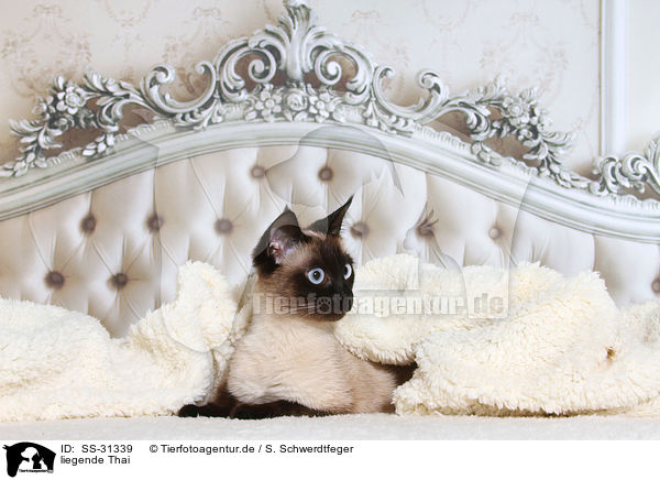 liegende Thai / SS-31339