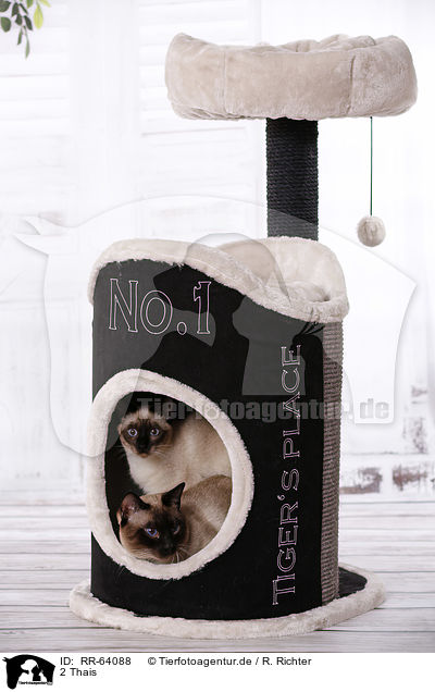 2 Thais / 2 Thais / RR-64088
