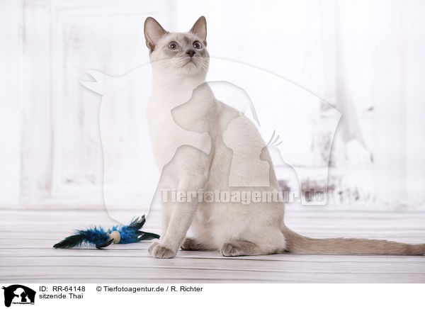 sitzende Thai / RR-64148