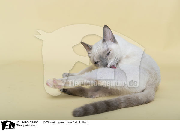 Thai putzt sich / HBO-02506
