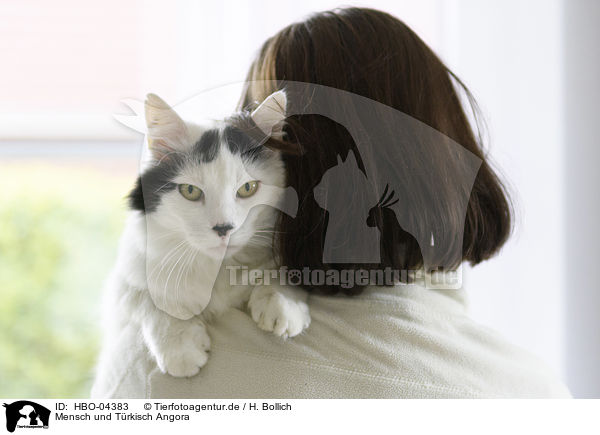 Mensch und Trkisch Angora / human and Turkish Angora / HBO-04383