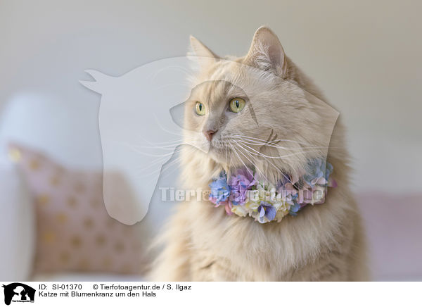 Katze mit Blumenkranz um den Hals / Cat with a wreath of flowers around its neck / SI-01370