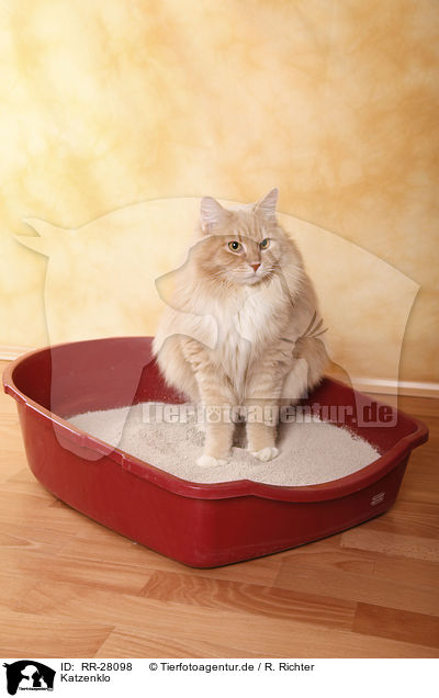 Katzenklo / cat litter box / RR-28098