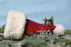 Maus mit Weihnachtsmannmtze