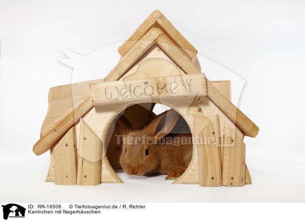 Kaninchen mit Nagerhuschen / bunny with rodent house / RR-18506