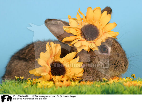 braunes Kaninchen mit Blumen / brown bunny with flowers / SS-14028