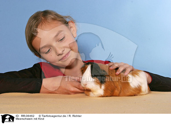 Meerschwein mit Kind / RR-06462