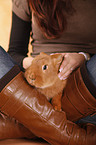 junge Frau mit Kaninchen