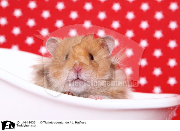 Teddyhamster / JH-18633