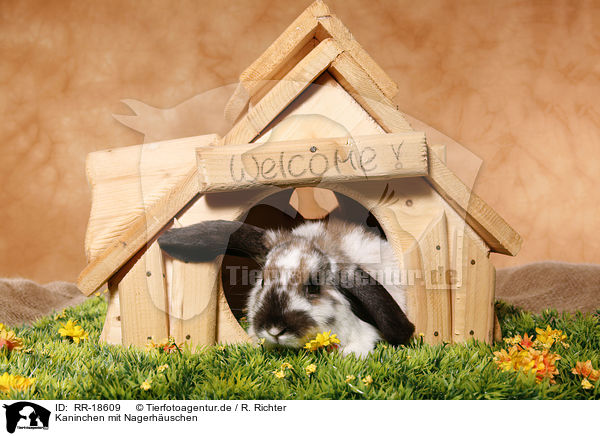 Kaninchen mit Nagerhuschen / bunny with rodent house / RR-18609