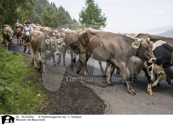 Mensch mit Braunvieh / human with Brown Cattle / IG-02002