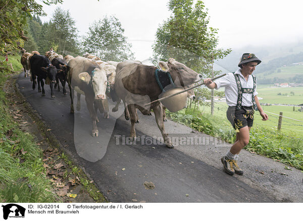 Mensch mit Braunvieh / human with Brown Cattle / IG-02014