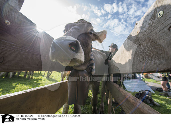 Mensch mit Braunvieh / human with Brown Cattle / IG-02020