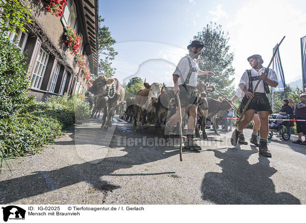 Mensch mit Braunvieh / human with Brown Cattle / IG-02025