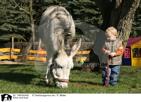 Kind und Esel / kind and donkey / PM-04449