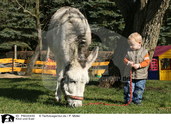 Kind und Esel / PM-04449