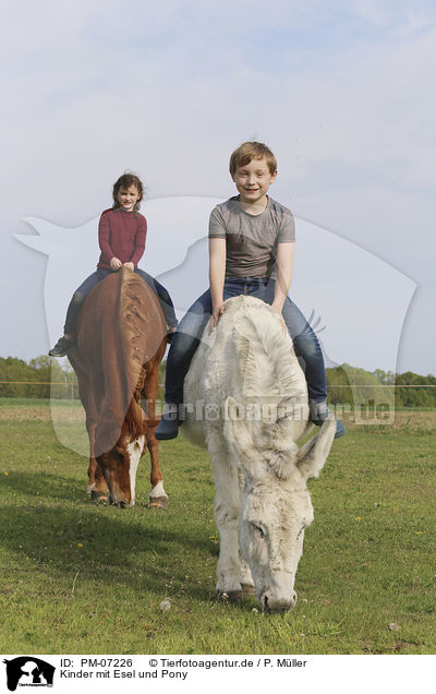 Kinder mit Esel und Pony / PM-07226