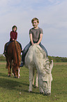 Kinder mit Esel und Pony