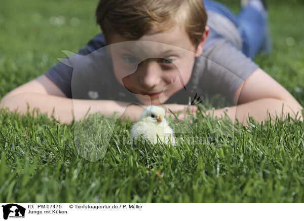 Junge mit Kken / boy with Chicken / PM-07475